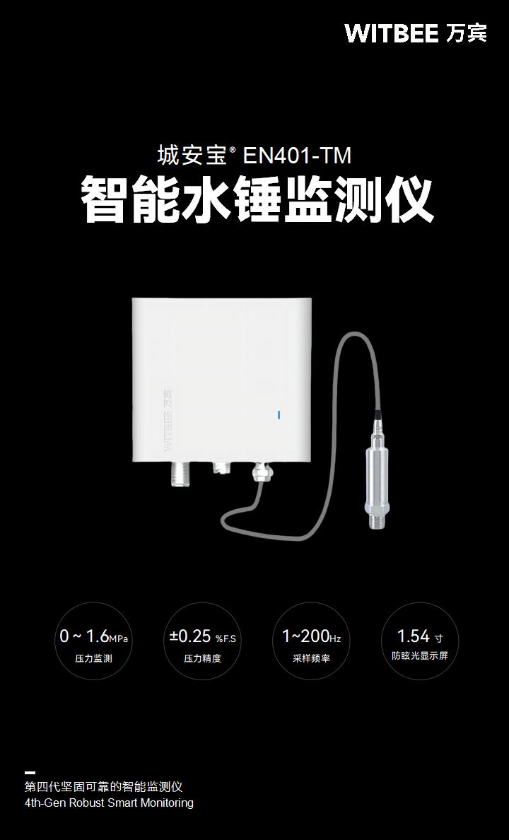 智能水錘監(jiān)測(cè)儀 EN401-PWH