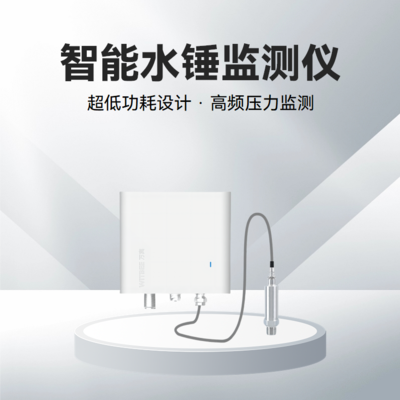 智能水錘監(jiān)測(cè)儀 EN401-PWH