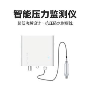 智能压力监测仪 EN401-PS
