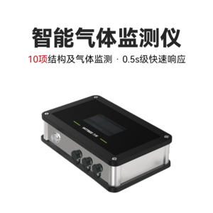 智能气体监测仪 EN501-MGA